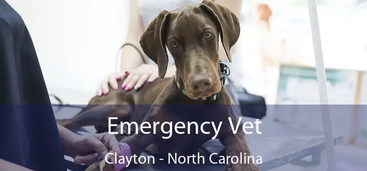 Emergency Vet Clayton - North Carolina