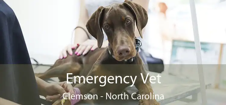 Emergency Vet Clemson - North Carolina