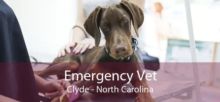 Emergency Vet Clyde - North Carolina