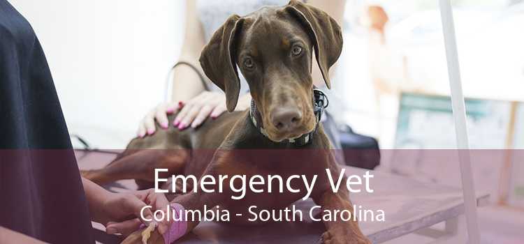 Emergency Vet Columbia - South Carolina