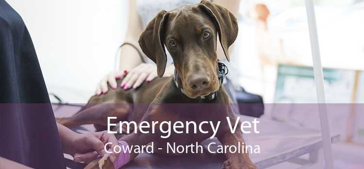Emergency Vet Coward - North Carolina