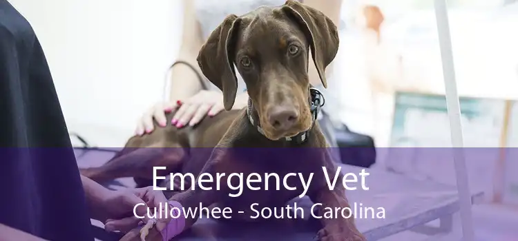 Emergency Vet Cullowhee - South Carolina