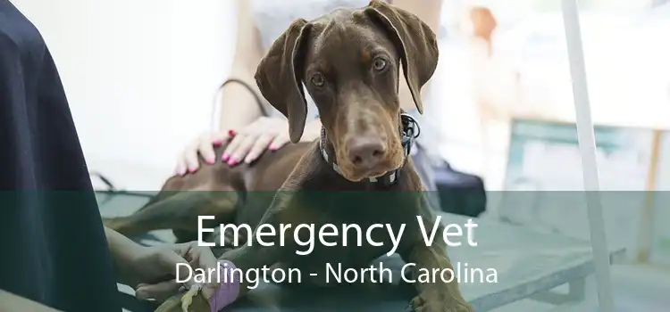 Emergency Vet Darlington - North Carolina