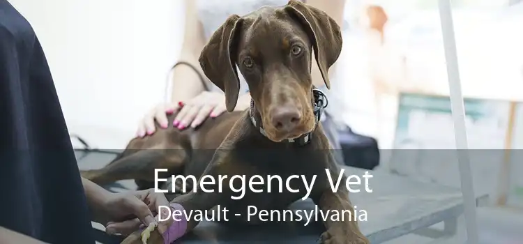 Emergency Vet Devault - Pennsylvania