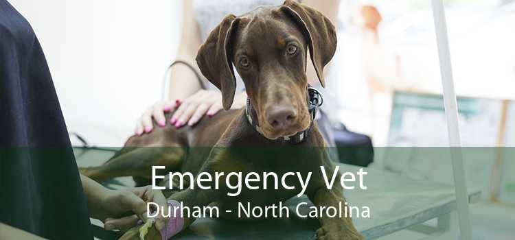 Emergency Vet Durham - North Carolina
