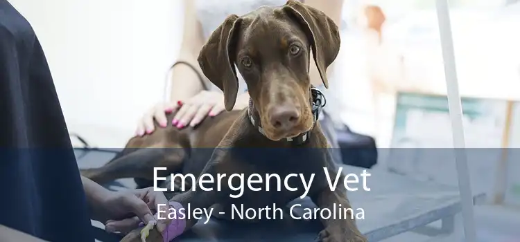 Emergency Vet Easley - North Carolina