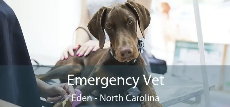 Emergency Vet Eden - North Carolina