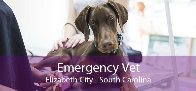 Emergency Vet Elizabeth City - South Carolina