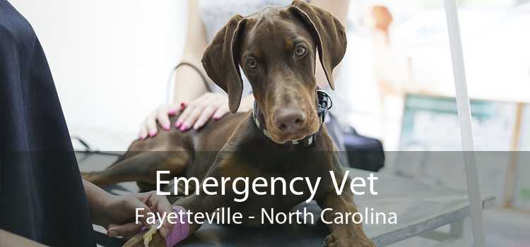 Emergency Vet Fayetteville - North Carolina