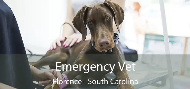 Emergency Vet Florence - South Carolina