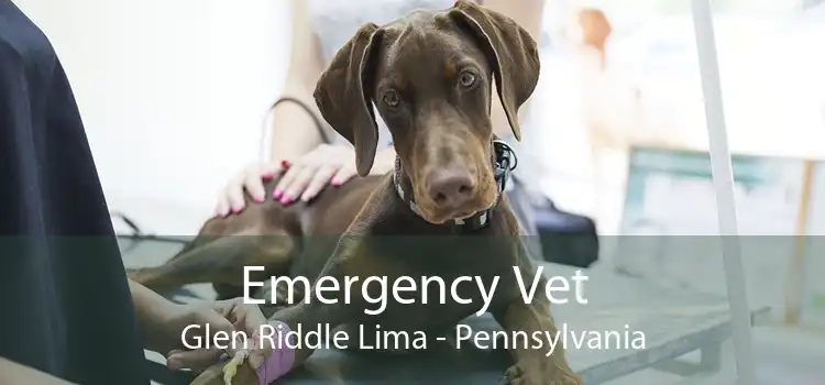 Emergency Vet Glen Riddle Lima - Pennsylvania