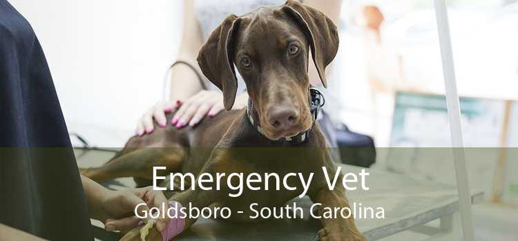 Emergency Vet Goldsboro - South Carolina