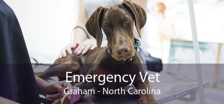 Emergency Vet Graham - North Carolina