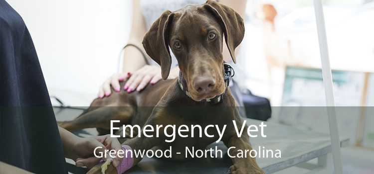 Emergency Vet Greenwood - North Carolina