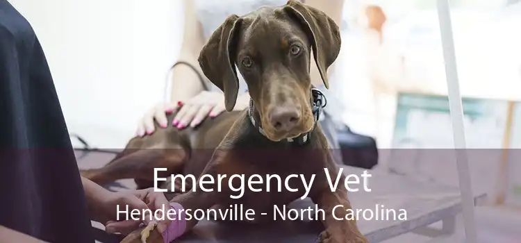 Emergency Vet Hendersonville - North Carolina