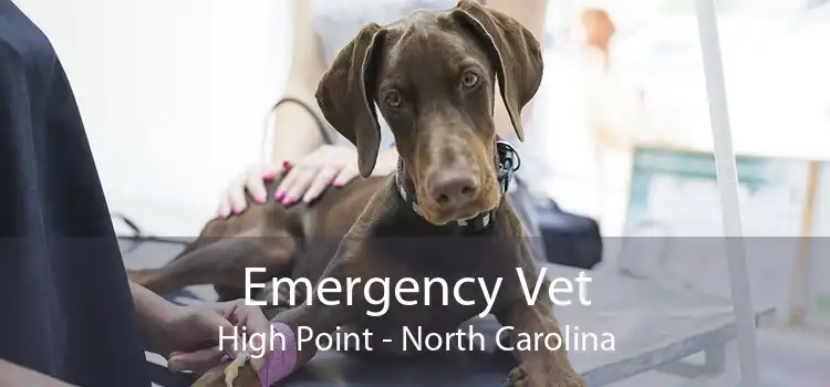 Emergency Vet High Point - North Carolina