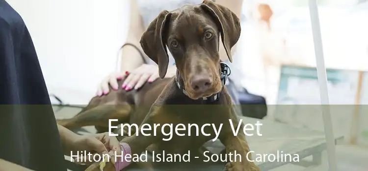 Emergency Vet Hilton Head Island - South Carolina