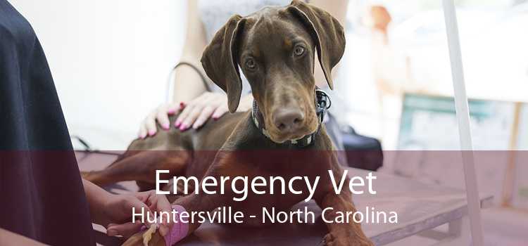 Emergency Vet Huntersville - North Carolina