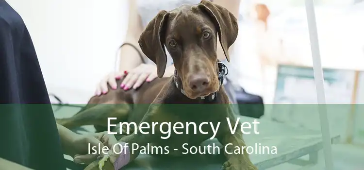 Emergency Vet Isle Of Palms - South Carolina