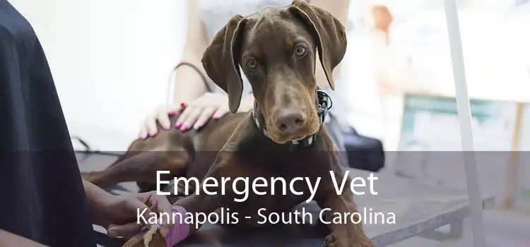 Emergency Vet Kannapolis - South Carolina