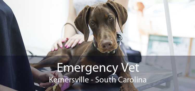 Emergency Vet Kernersville - South Carolina