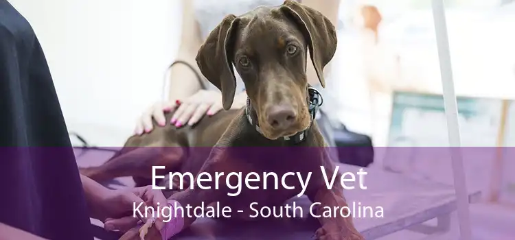 Emergency Vet Knightdale - South Carolina