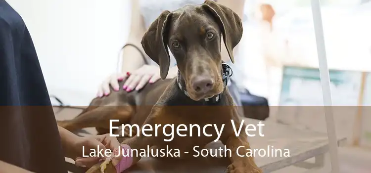Emergency Vet Lake Junaluska - South Carolina