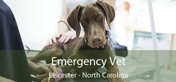 Emergency Vet Leicester - North Carolina
