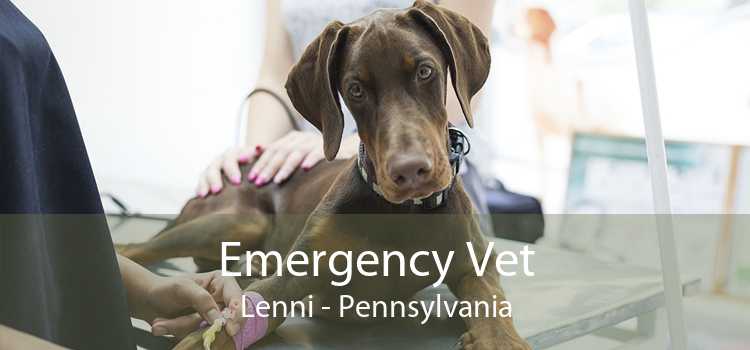 Emergency Vet Lenni - Pennsylvania