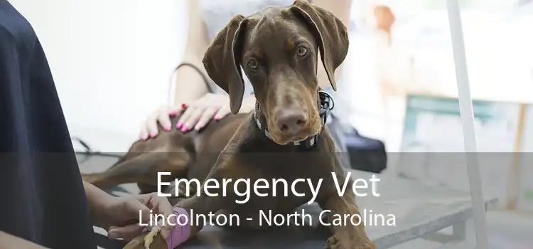 Emergency Vet Lincolnton - North Carolina