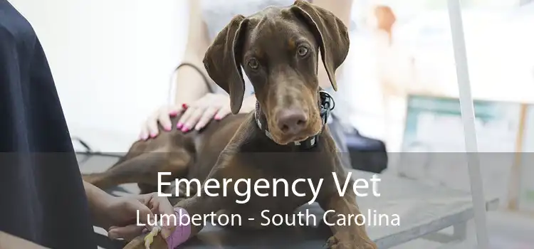 Emergency Vet Lumberton - South Carolina