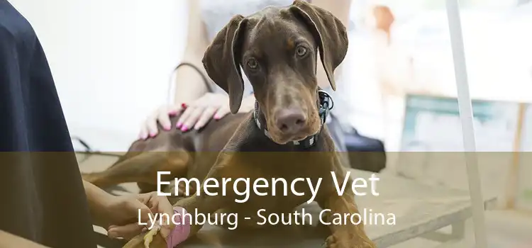 Emergency Vet Lynchburg - South Carolina