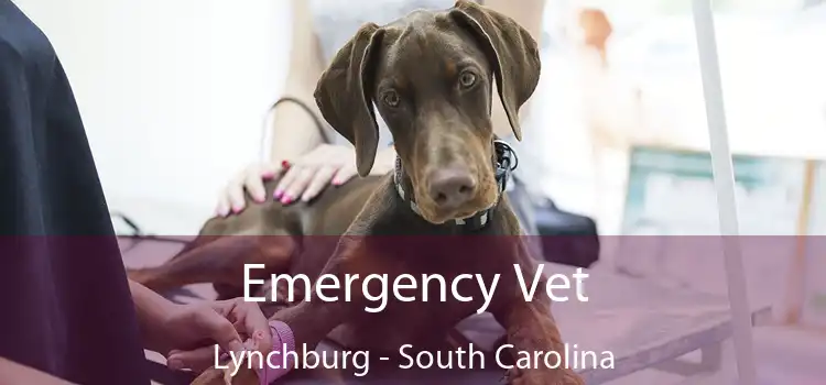 Emergency Vet Lynchburg - South Carolina