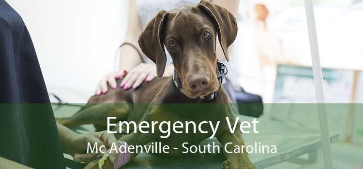 Emergency Vet Mc Adenville - South Carolina
