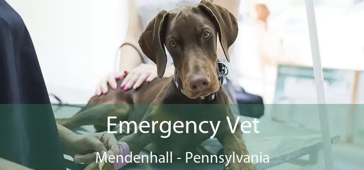 Emergency Vet Mendenhall - Pennsylvania