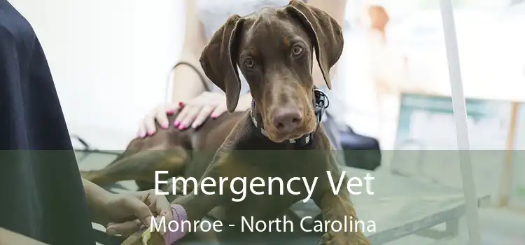 Emergency Vet Monroe - North Carolina