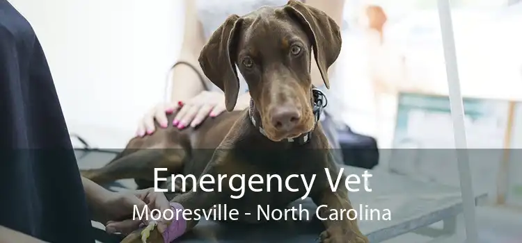 Emergency Vet Mooresville - North Carolina