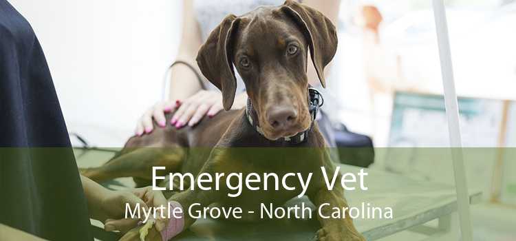 Emergency Vet Myrtle Grove - North Carolina
