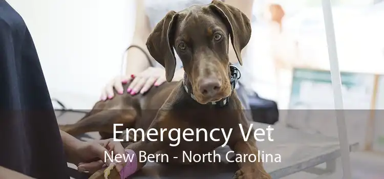 Emergency Vet New Bern - North Carolina