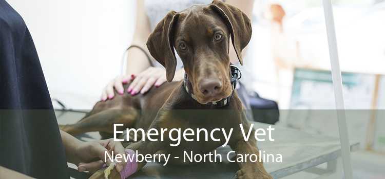 Emergency Vet Newberry - North Carolina