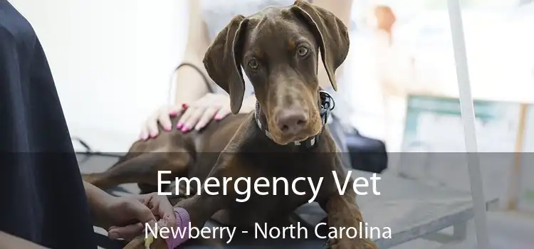 Emergency Vet Newberry - North Carolina