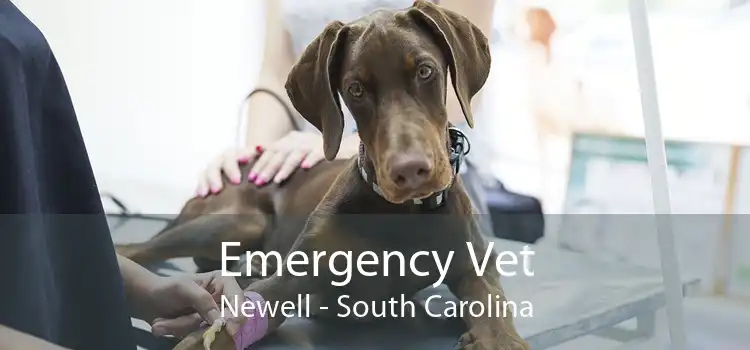 Emergency Vet Newell - South Carolina