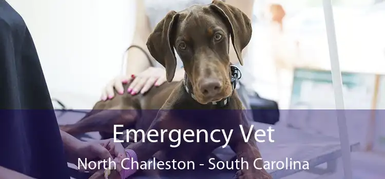 Emergency Vet North Charleston - South Carolina