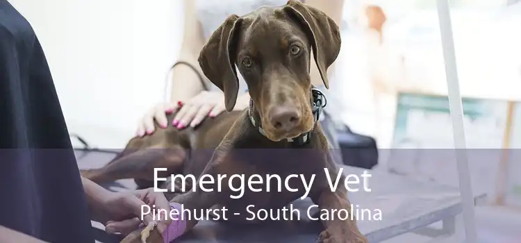 Emergency Vet Pinehurst - South Carolina