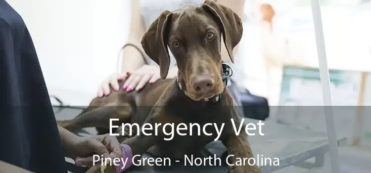 Emergency Vet Piney Green - North Carolina