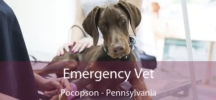 Emergency Vet Pocopson - Pennsylvania