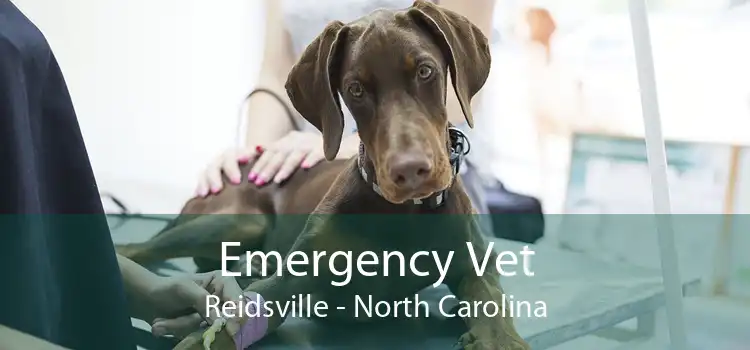Emergency Vet Reidsville - North Carolina