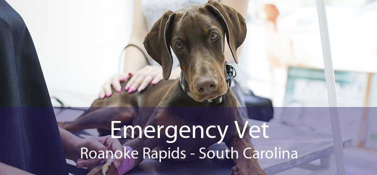 Emergency Vet Roanoke Rapids - South Carolina