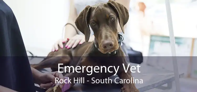 Emergency Vet Rock Hill - South Carolina