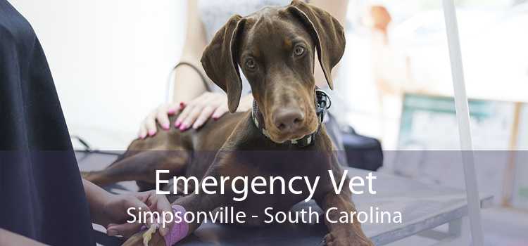 Emergency Vet Simpsonville - South Carolina